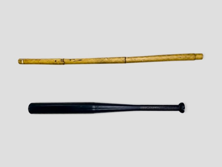 Kota Tinggi brawl: 12 nabbed after pre-dawn police raid, baseball bat and stick seized