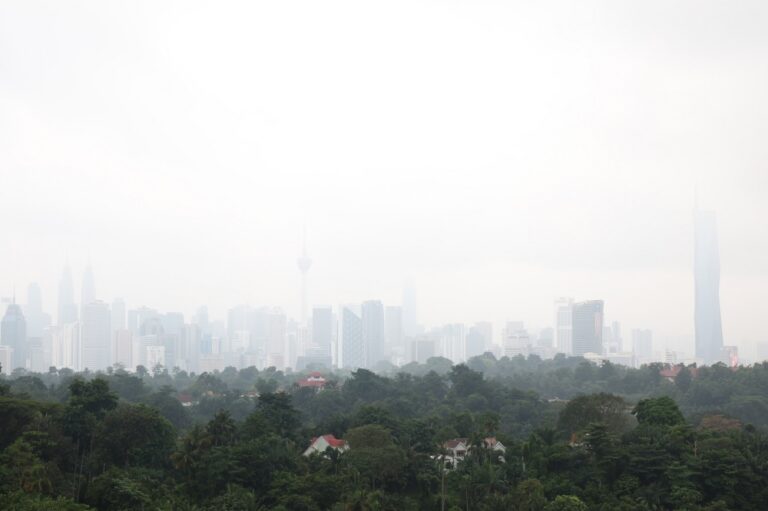 Haze: Selangor local authorities told to step up monitoring, crack down on open burning