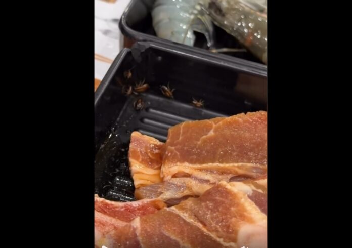 Viral video of cockroaches in food container prompts DBKL to shut BBQ outlet for 14 days (VIDEO)