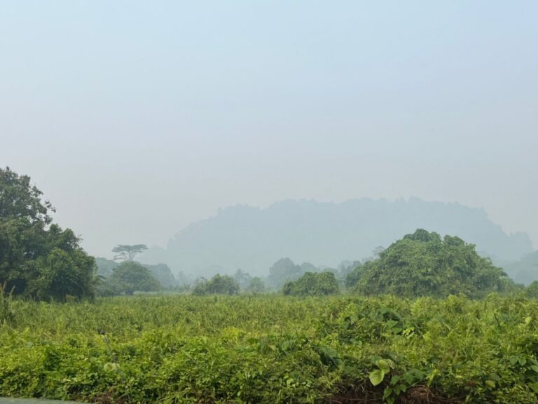 Sarawak wakes to worsening haze as API breaches 200 in three locations