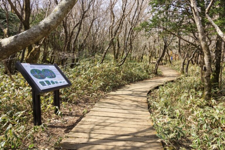 Jeju missing persons scandal: Police say South Korea cop closed missing persons cases to avoid work