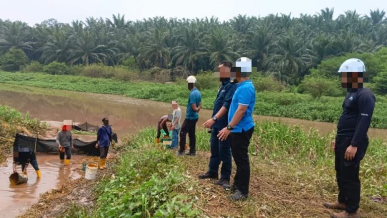 Palm oil mill shut down after pump failure sends effluent into Johor’s Sungai Sembrong