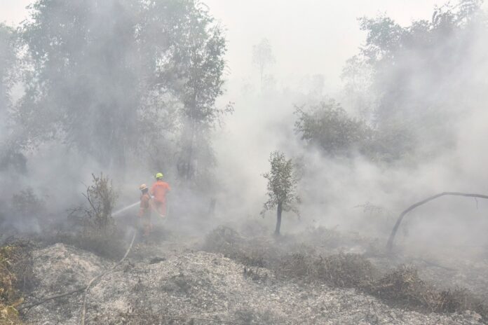 Indonesia deploys 54,000 personnel, 64 aircraft but struggles to contain fires as toxic haze chokes Malaysia