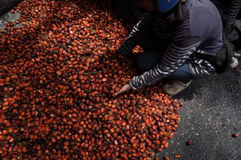 Budget 2027: What RM425m for plantations and commodities means for Malaysians