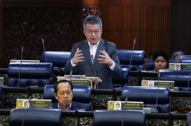 Tax-exempt taxpayers can opt to keep using e-invoices, says Liew