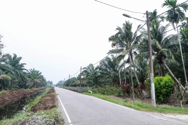 Lights on: Works Department to extend streetlight operating hours during haze